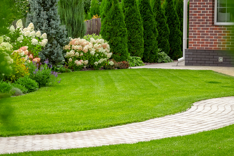 lawn care