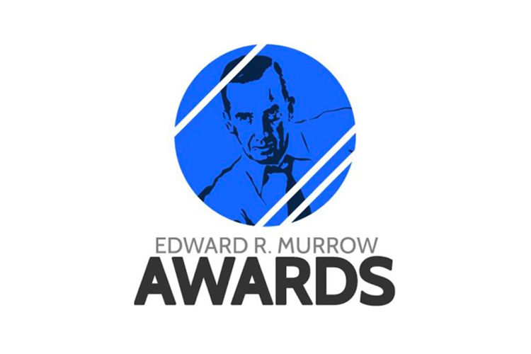 erm award logo
