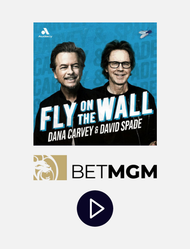 fly on the wall
