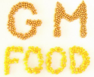 Warning Issued On Genetically Engineered Food