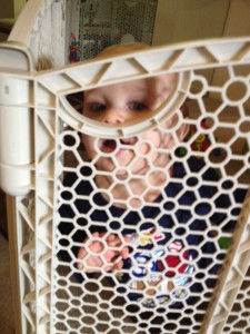 Baby Gate