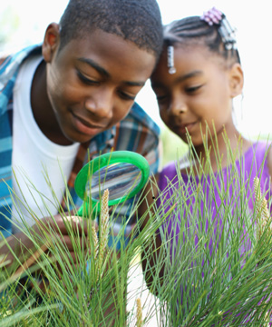 Tips to Keep Kids Learning and Prevent ‘Summer Slump’