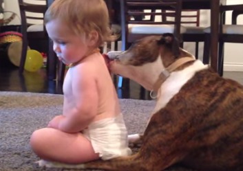 Cute Video Alert: Dog Gives Baby a Bath