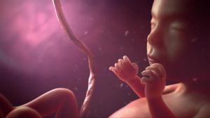7 Things Babies Do in the Womb That’ll Blow Your Mind