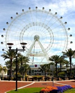 Not Just for Kids: Vacation Ideas  the Whole Family will Enjoy