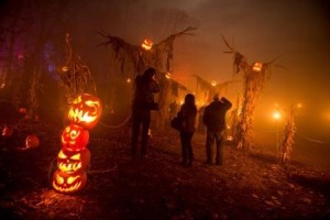 Beyond Trick-or-Treating: Fun Family Activities for Halloween Season