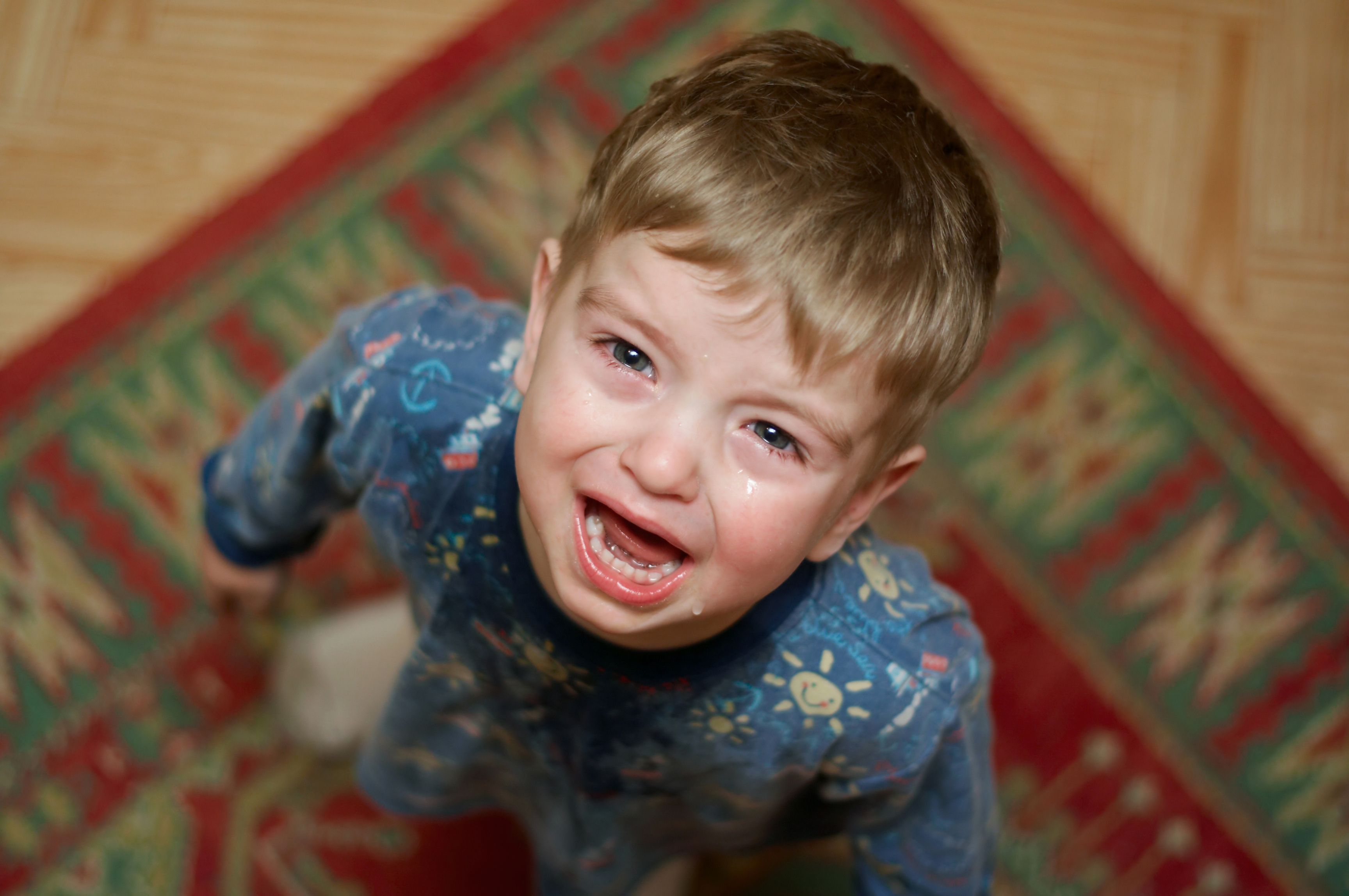 Are 3-Year-Old Boys the Most Annoying Humans on the Planet?