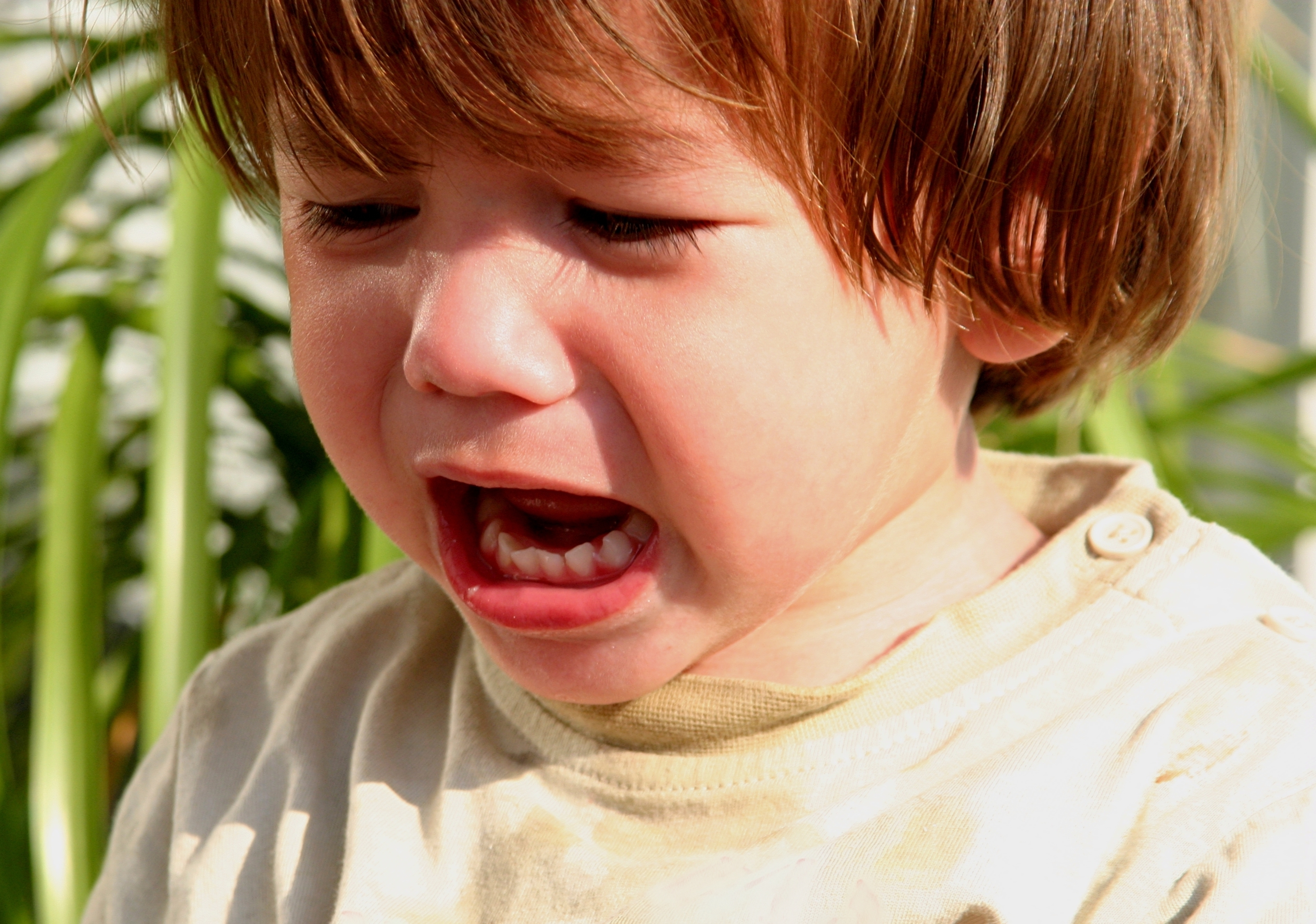 Separation Anxiety, Your Kid and You