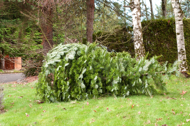 Ready To Recycle That Christmas Tree?
