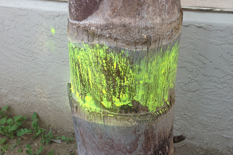 SD Moms Podcast: The Spray Paint Incident