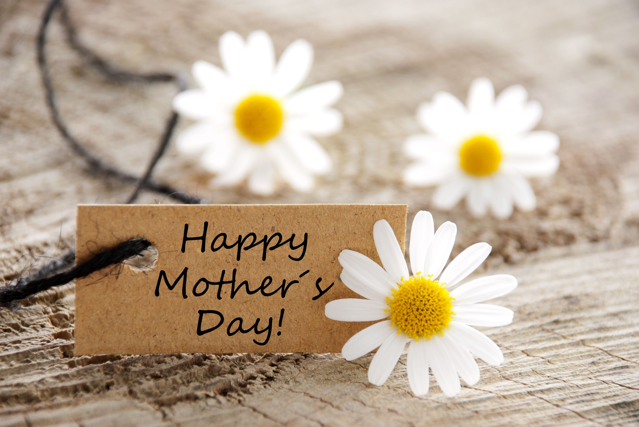SDMoms Podcast: Celebrating Mother’s Day