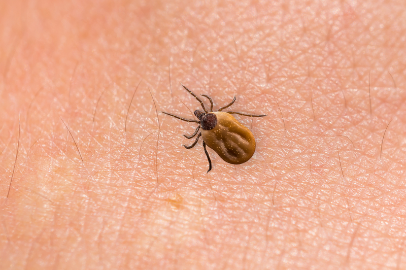 Georgia Mom Warns Others After Son Contracts Rare Disease From Tick Bite