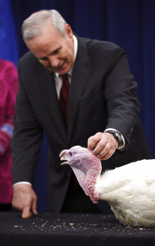 Gobble gobble: Low turkey prices cut Thanksgiving meal cost