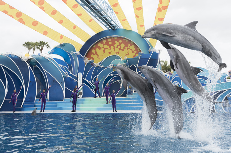 SeaWorld San Diego Offers Unlimited 2019 Admission for Pre-Schoolers, Teachers
