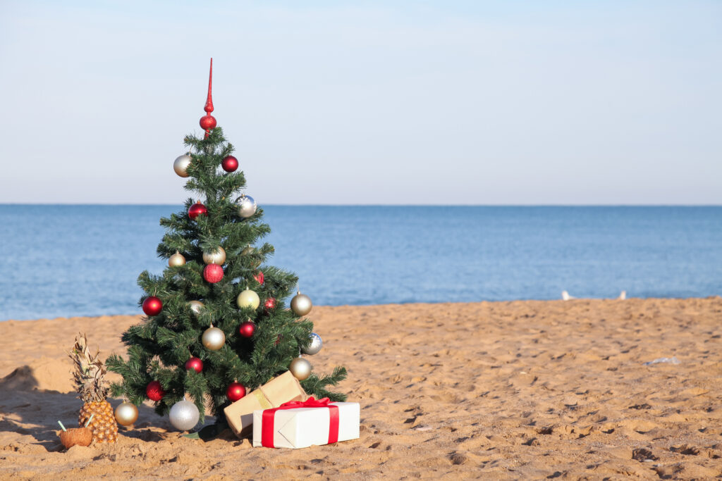 San Diego’s Holiday Happenings