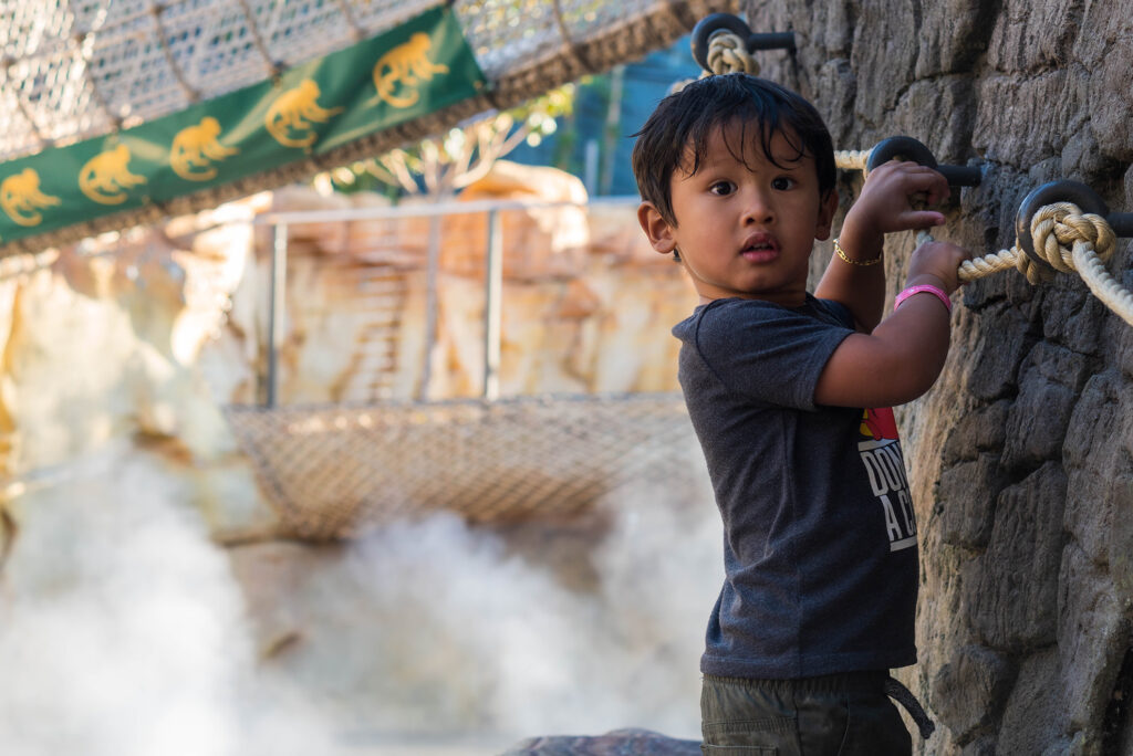 Family fun: SD Zoo’s Wildlife Explorers Basecamp