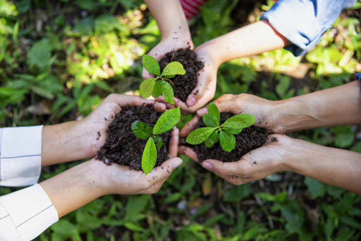 7 fun Earth Day activities for families