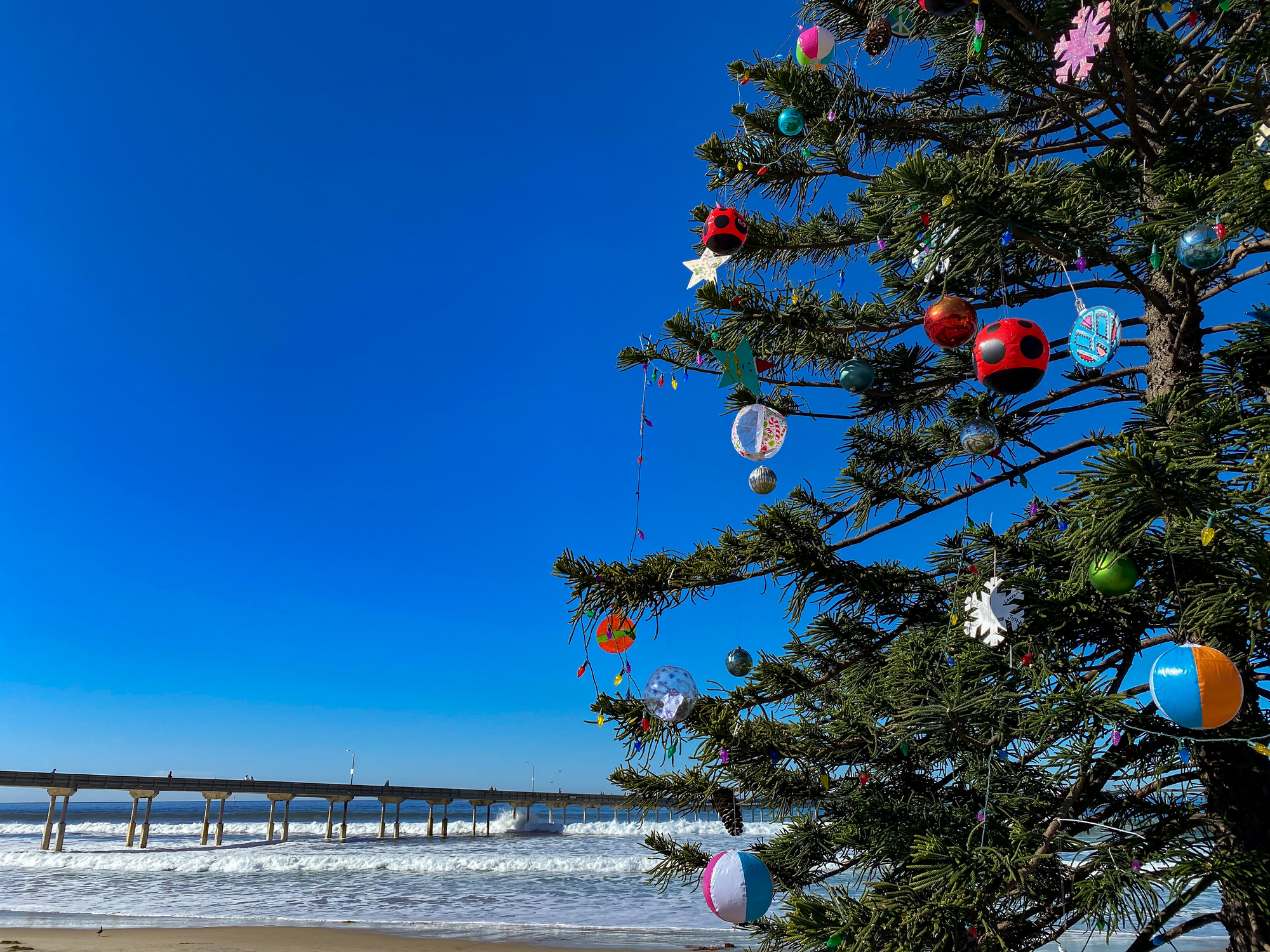 Getting Your Family Into the Holiday Spirit in San Diego