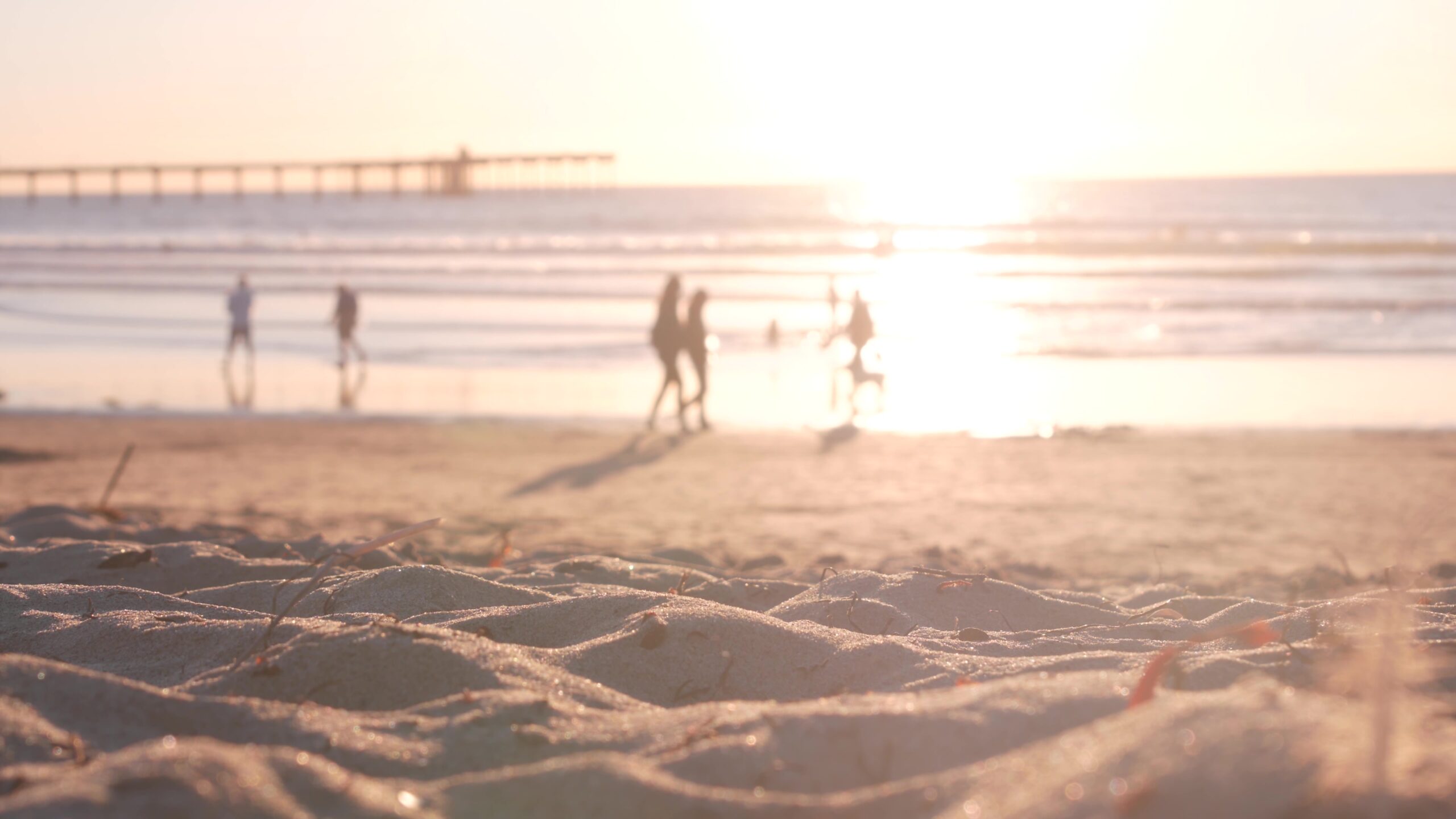 Family Fun in San Diego: Things to Do on Labor Day Weekend