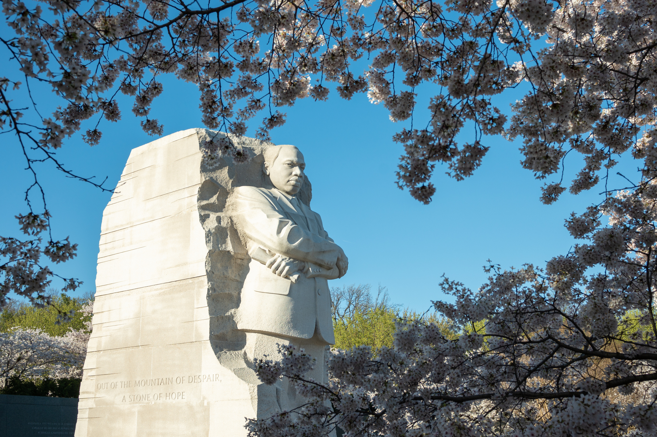 Celebrate MLK Day in San Diego: Fun for the Whole Family