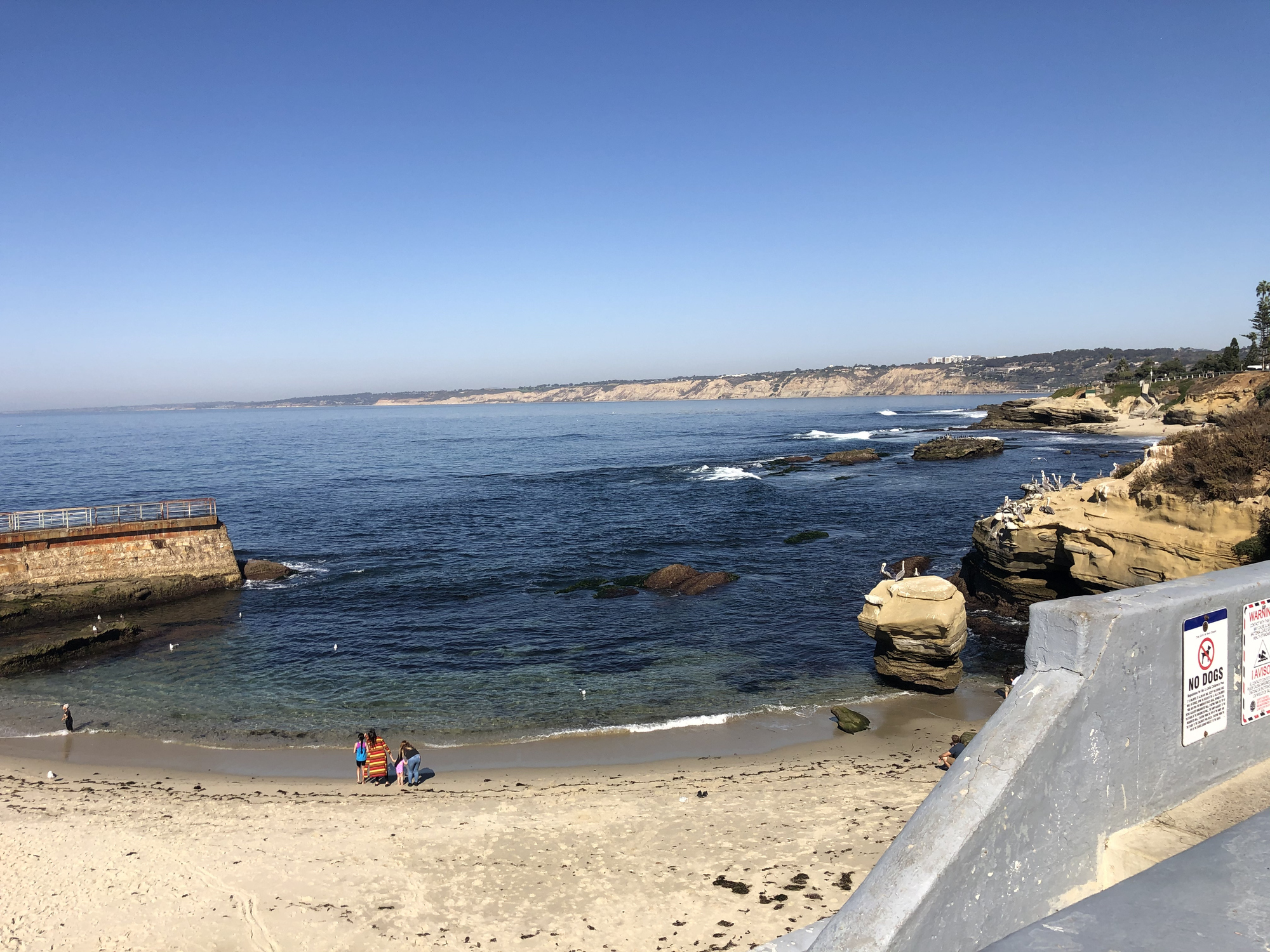 Free Things to Do in San Diego for Families During Spring Break