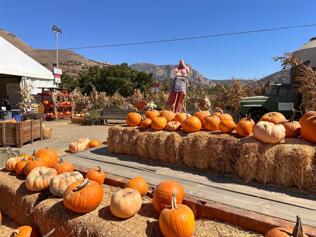 10 Pumpkin Patches in San Diego County to Visit This Fall